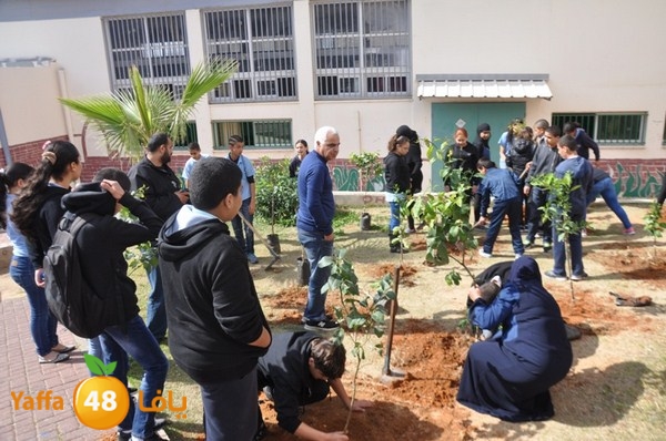 trees shamela 0321 (27).JPG